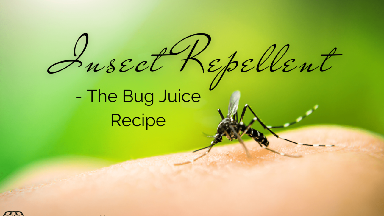 mosquito on someone's skin: text: insect repellent - the bug juice recipe