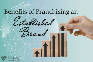 arrow graph on wood blocks, the last and tallest blocks held by a hand: text Benefits of franchising an established brand